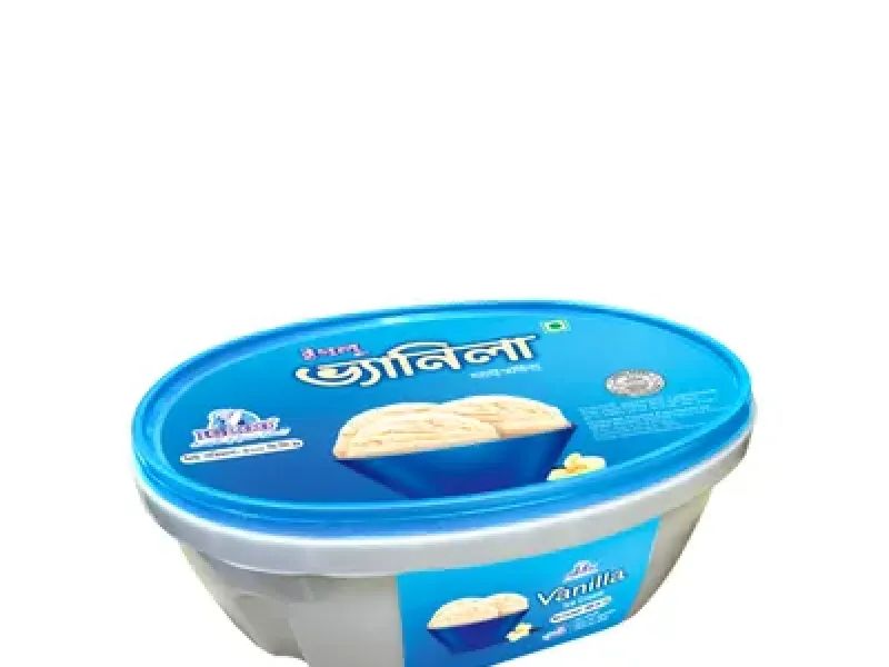Igloo Regular Vanilla Ice Cream 500 ml